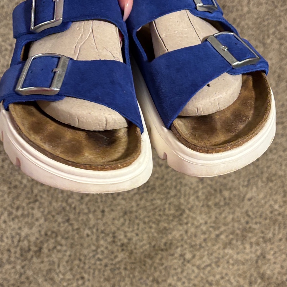 Papillio Royal Blue Suede Double-Buckle Slide Sandals - Picture 4 of 8